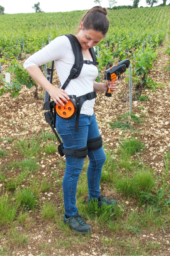 Exoviti en situation dans les vignes