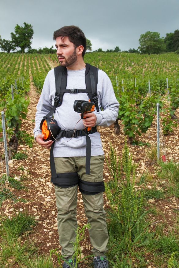 Exoviti en situation dans les vignes